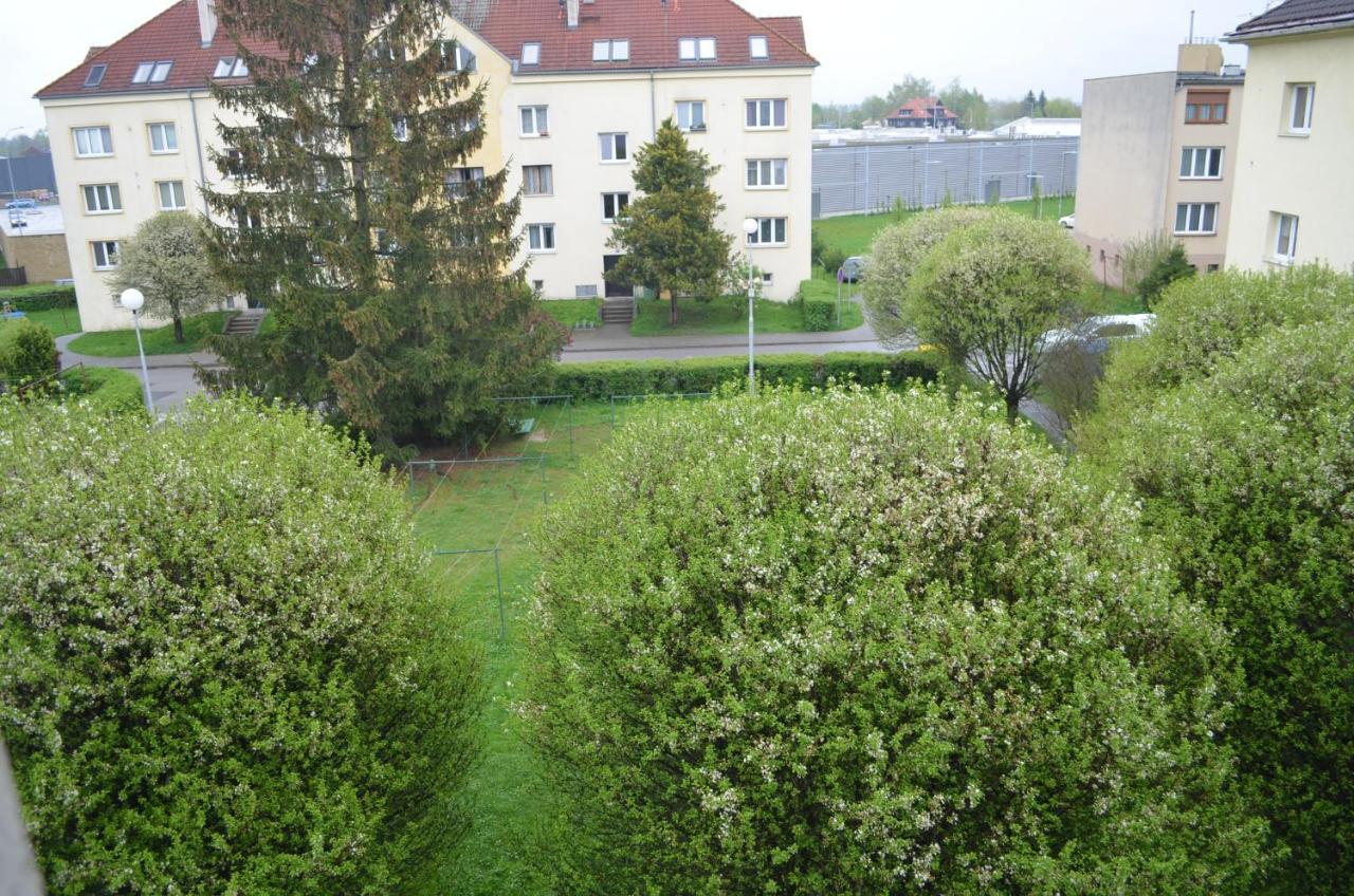 Room In Třeboň מראה חיצוני תמונה